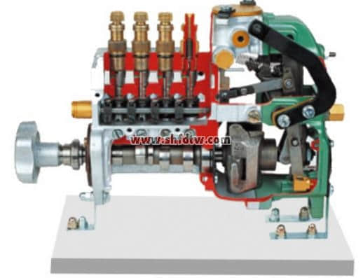 直列噴射泵解剖模型(RQV)